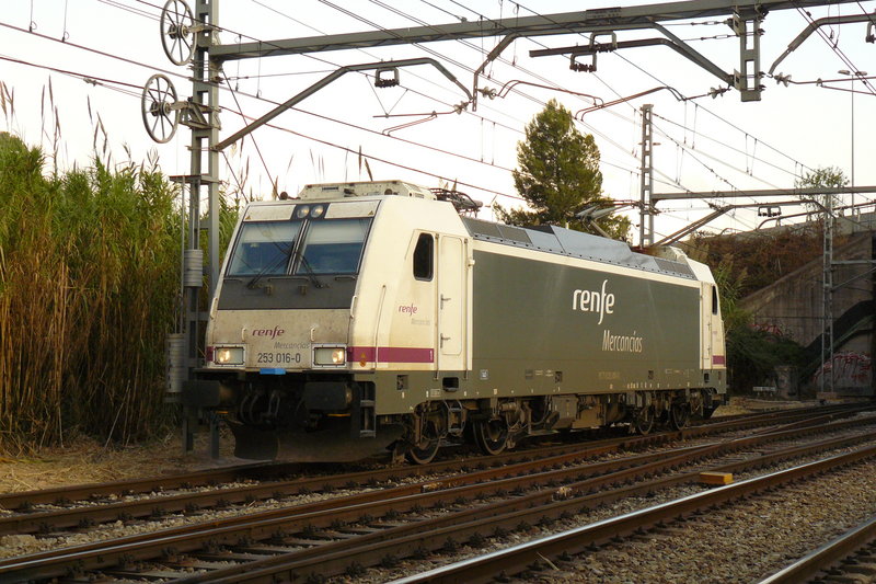 P1070816.JPG