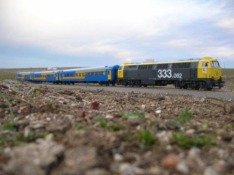 269 y 251 campo 115.jpg
