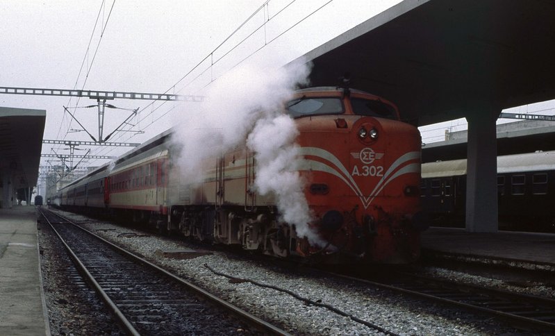 7007.JPG