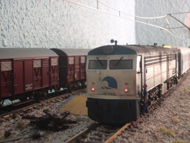 PA230148.JPG