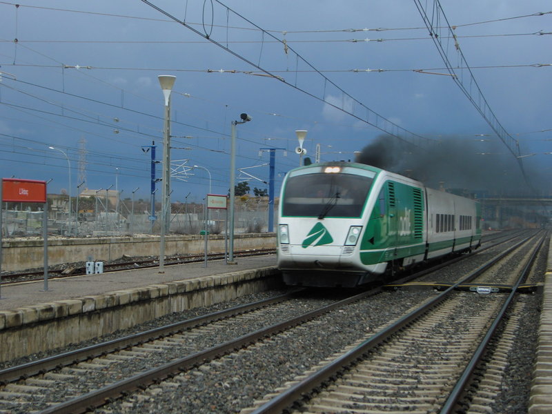 17-02-2011 fotos bt l'arbóç 028.JPG