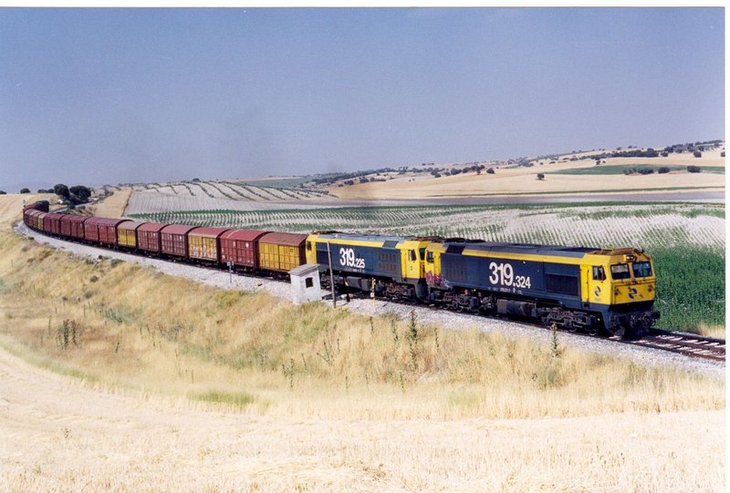 7440.jpg