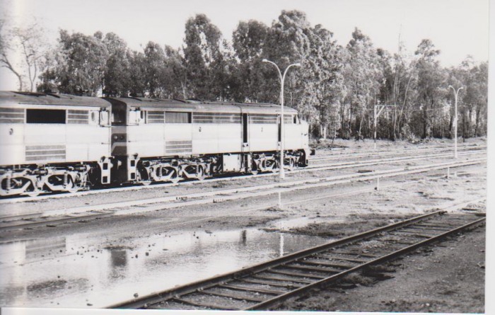 7429.JPG