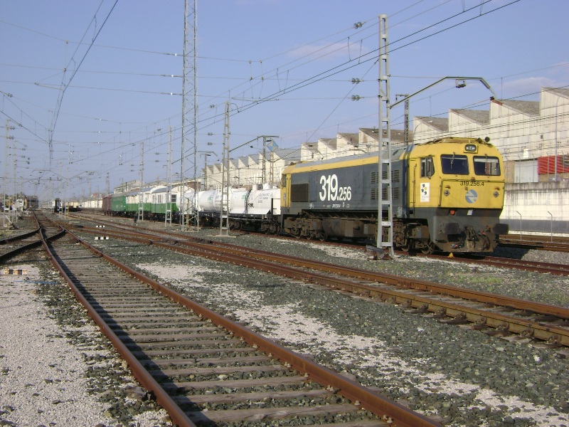 DSC05146.JPG
