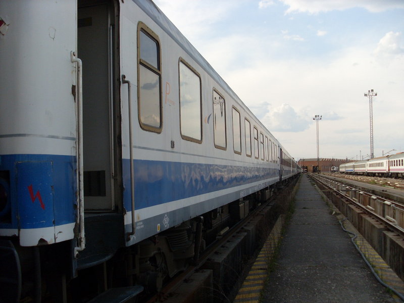 SL381526.JPG