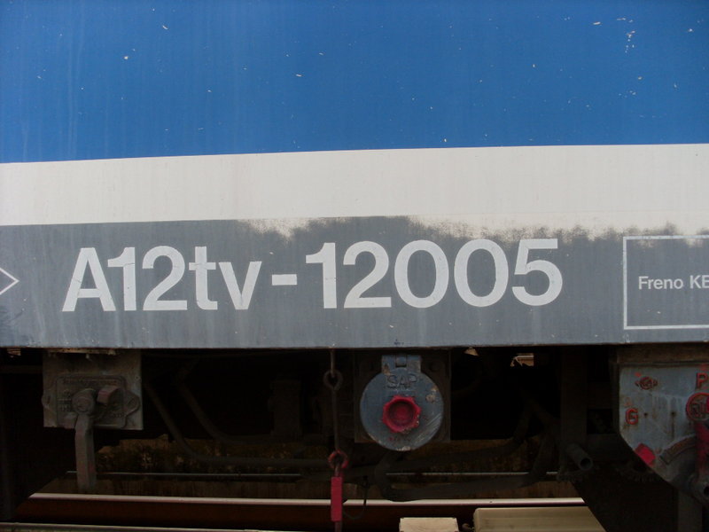 SL381527.JPG