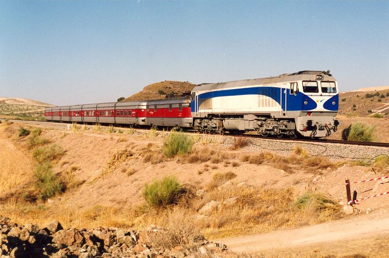 7456.jpg