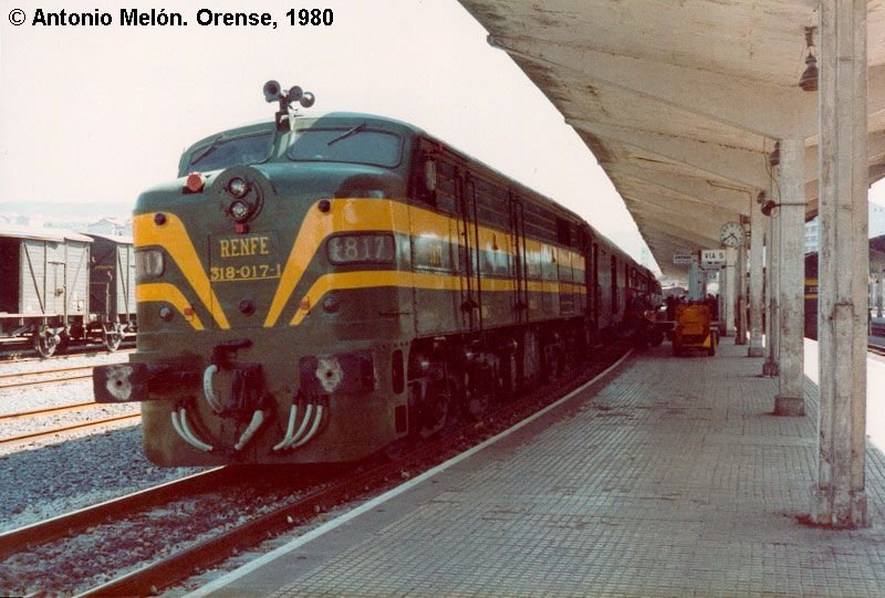 318017.jpg