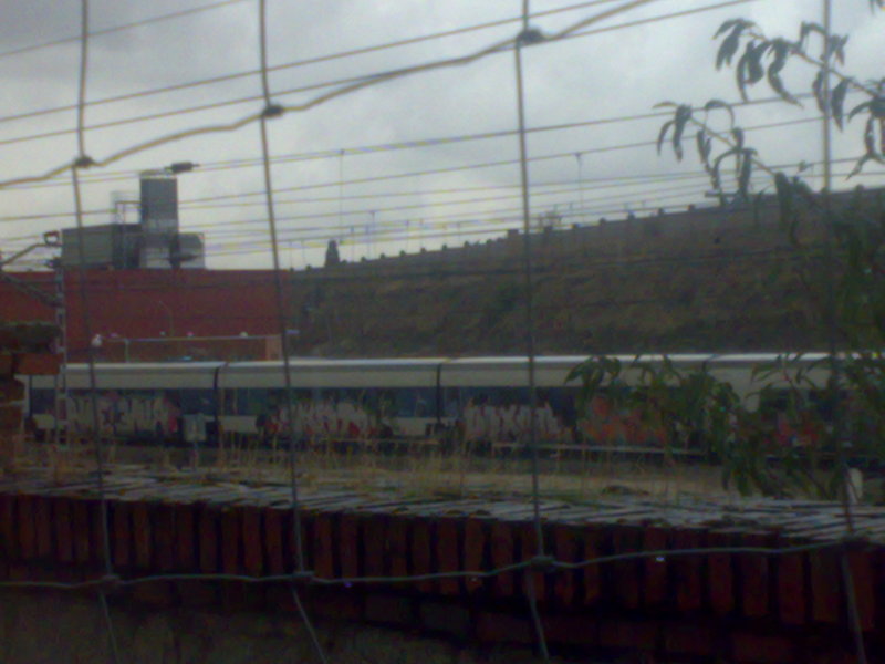 Rama Talgo des 1.jpg