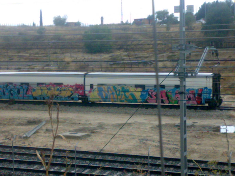 Rama Talgo des 6.jpg