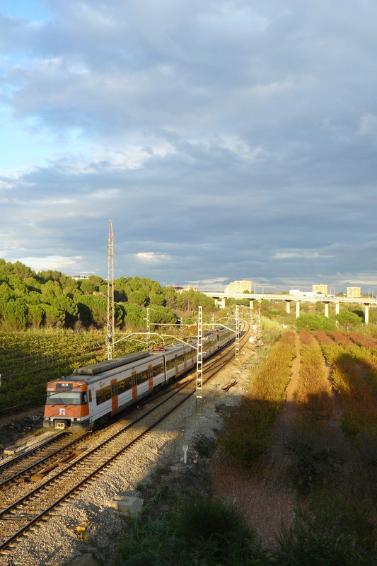 P1070935.JPG