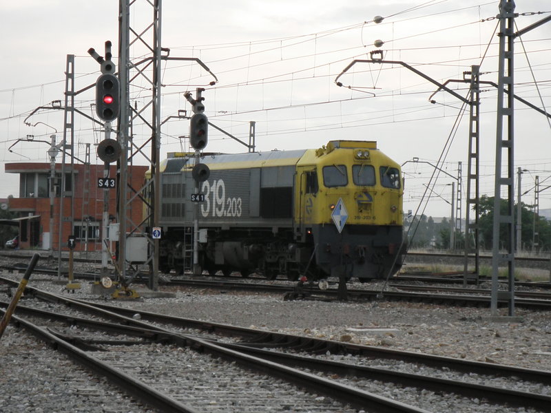 P5090419.JPG