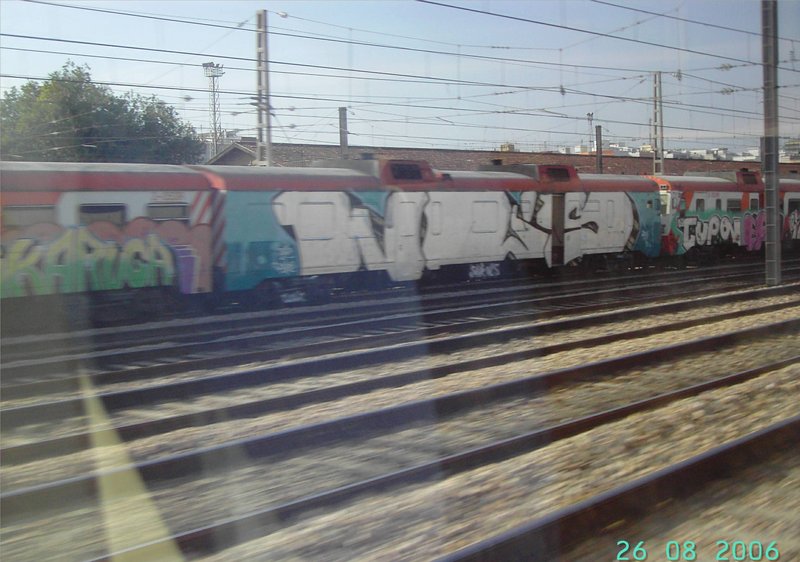Camellos con grafitis en Valencia.JPG
