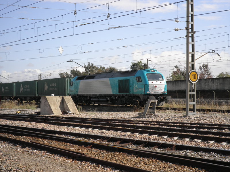 PB151641.JPG