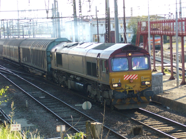 66067 HED 3.JPG
