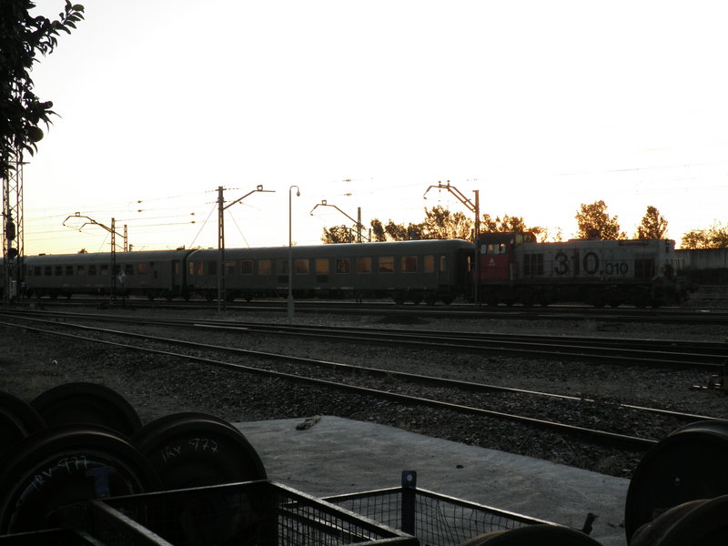 PB171656.JPG