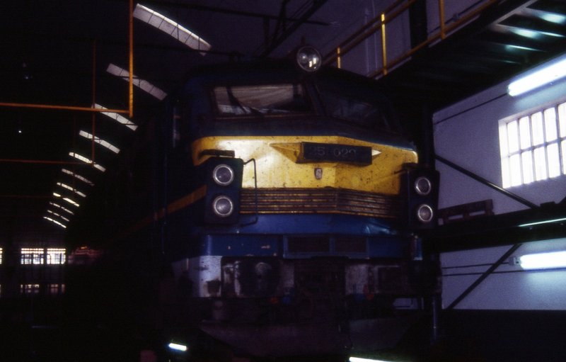 AAA-025.jpg