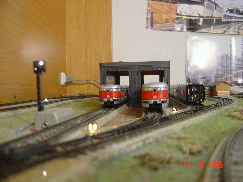 DSC01376.JPG
