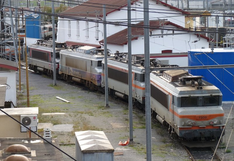 P1000246 copia.JPG