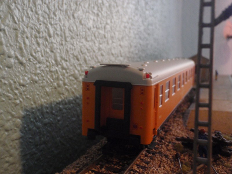 PB290134.JPG