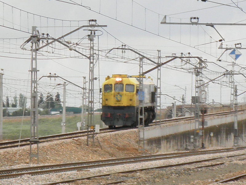 P5090434.JPG