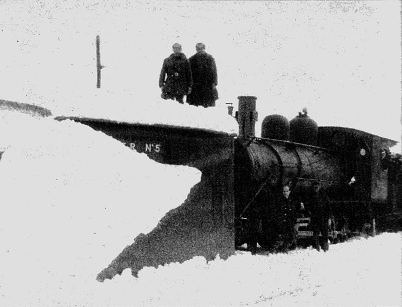7719.jpg