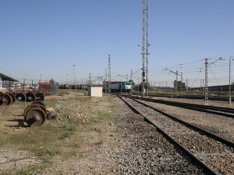 PB251693.JPG
