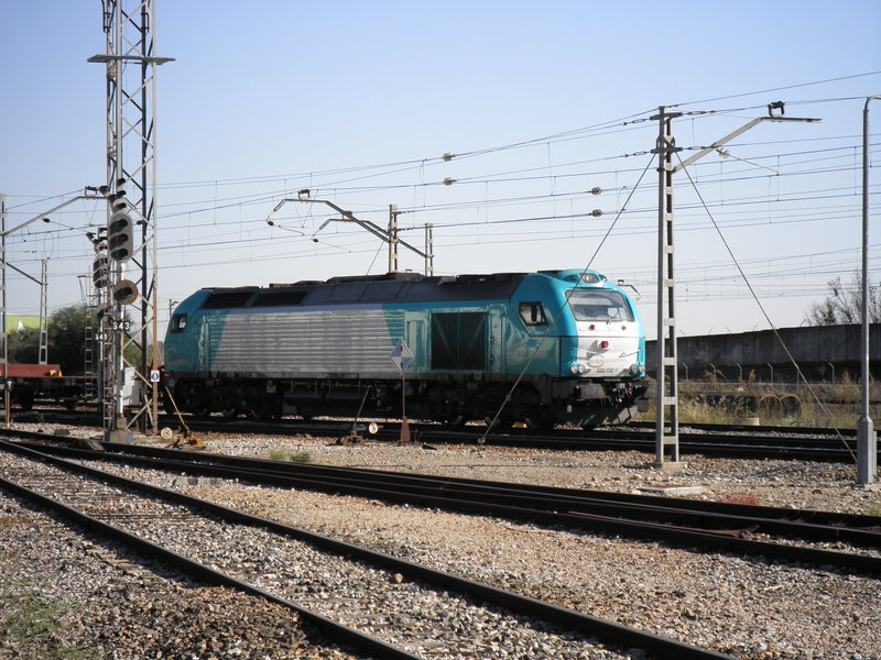 PB251694.JPG