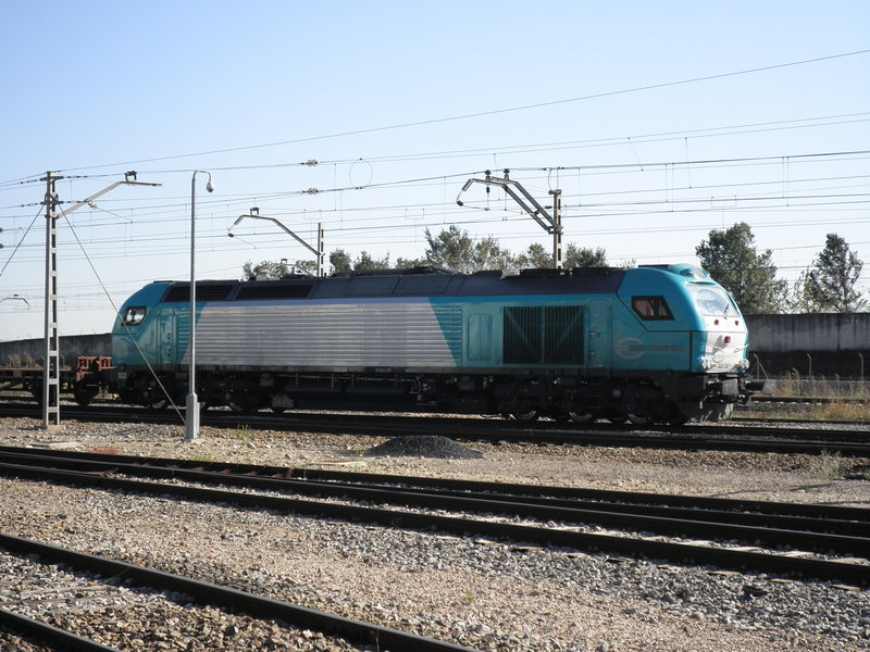PB251695.JPG