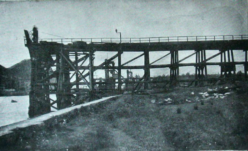 Cargadero de la Luchana Mining en la Ría (con la vertedera levantada).jpg