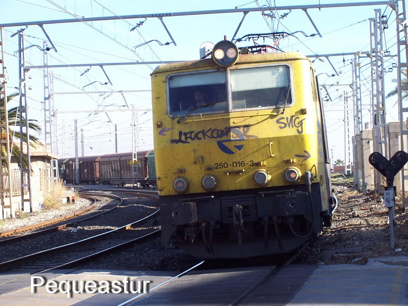 250-016 (04).JPG