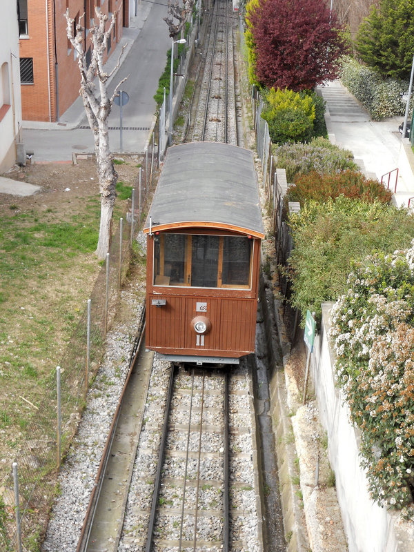 7725.jpg
