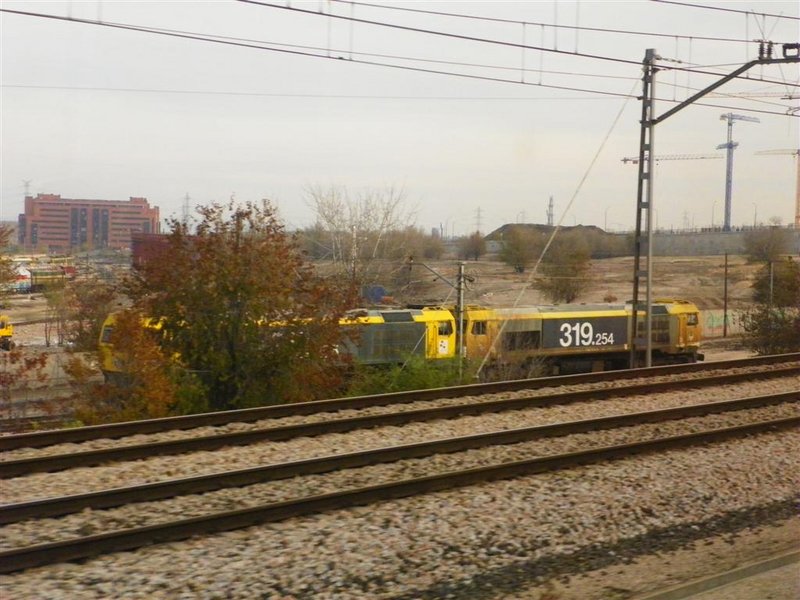 F 343 (Large).jpg