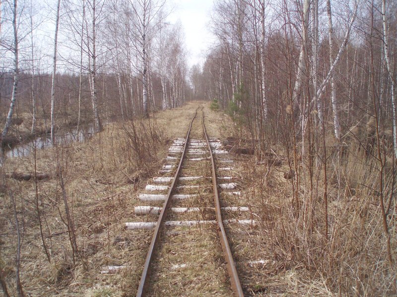 4735.jpg