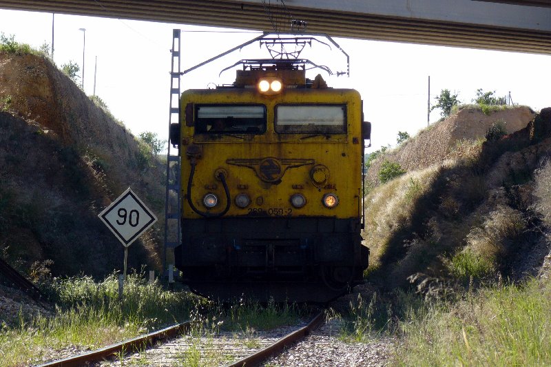 P1190161b.jpg