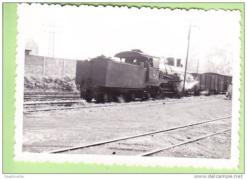264_001.jpg