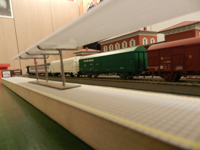 DSCN0475.JPG