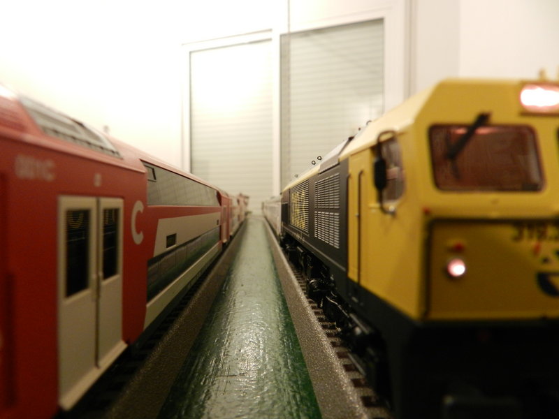 DSCN0537.JPG