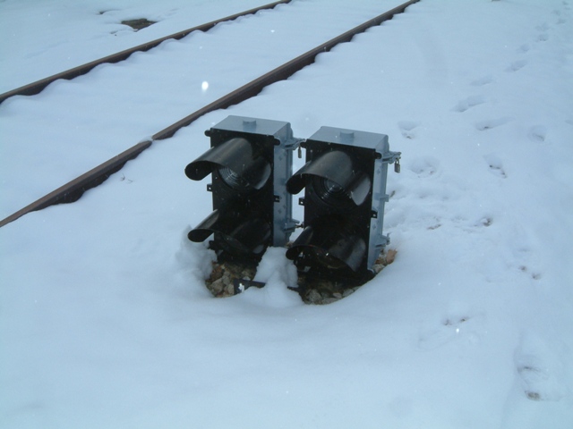 30-1-2011 046.jpg