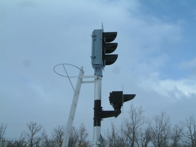 30-1-2011 048.jpg