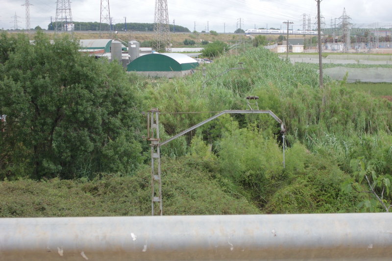 CIMG0095.JPG