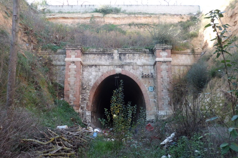 CIMG2371.JPG