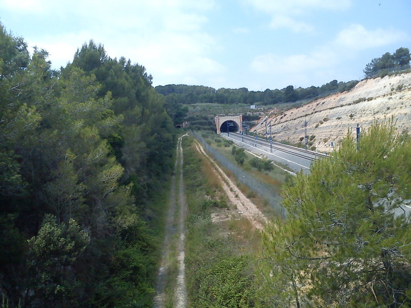 DSC00326.jpg