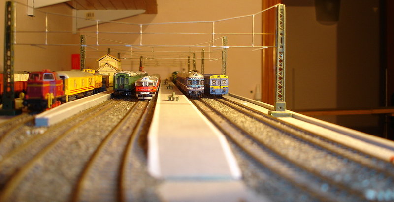ter1.jpg