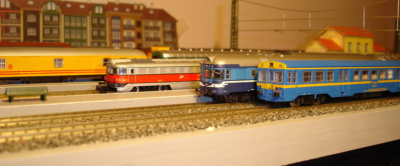 ter2.jpg