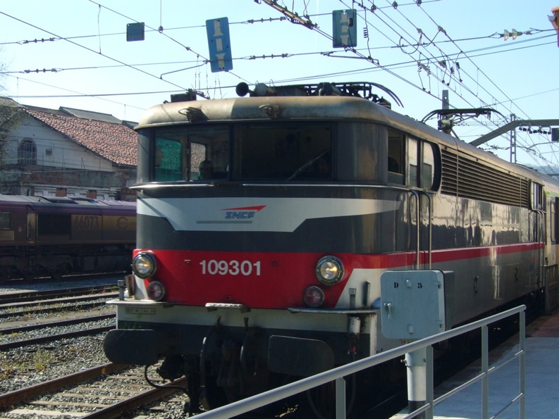 NIZA 8.JPG