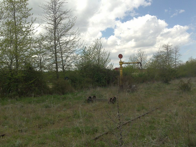 187.jpg