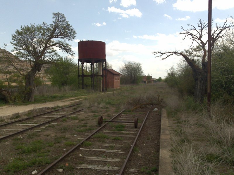 190.jpg