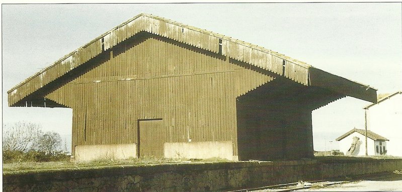 muelle.jpg