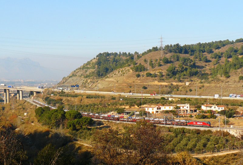 P1080542.JPG